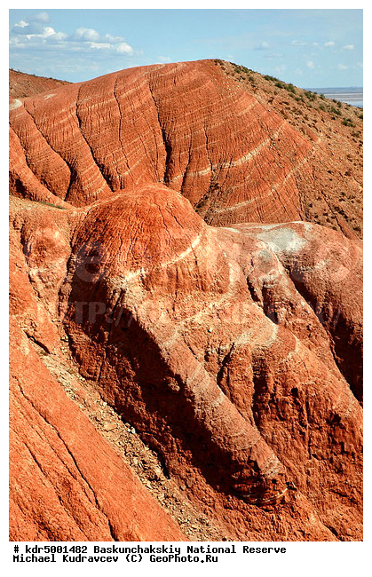 ������������, ���������, ������ 2007, ����������, ������ ��������, �������, �����, �� ������