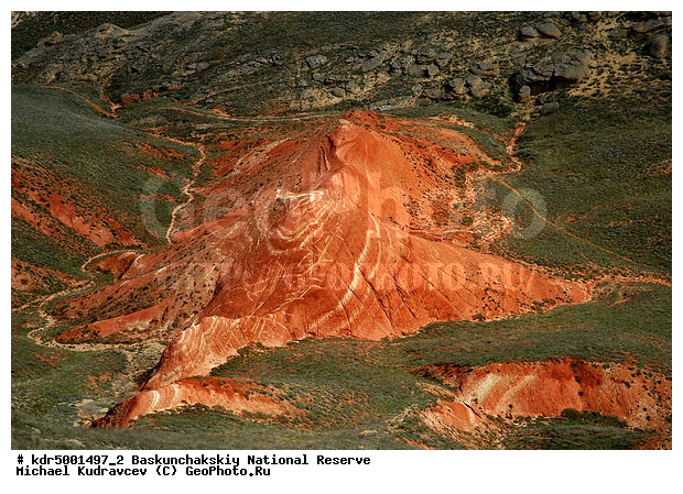 ������������, ���������, ������ 2007, ����������, ������ ��������, �������, �����, �� ������