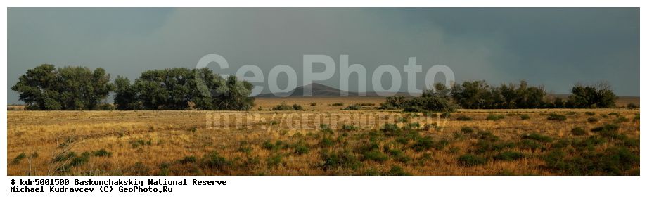 ������������, ���������, ������ 2008, ����������, ������ ��������, �������, ������� �����, �����, �� ������