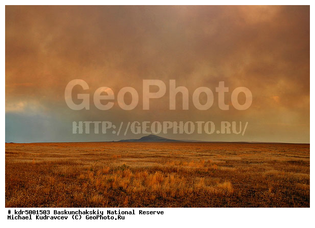 ������������, ���������, ������ 2008, ����������, ������ ��������, �������, ������� �����, �����, �� ������