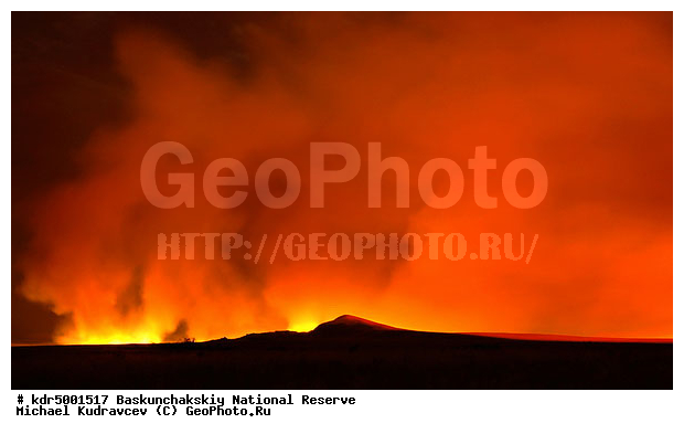 ������������, ���������, ������ 2008, ������, ����������, ������, ������ ��������, �����, �����, �������, ������� �����, �����, �� ������