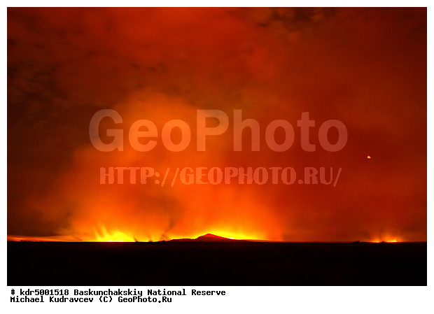 ������������, ���������, ������ 2008, ����������, ������ ��������, �������, ������� �����, �����, �� ������