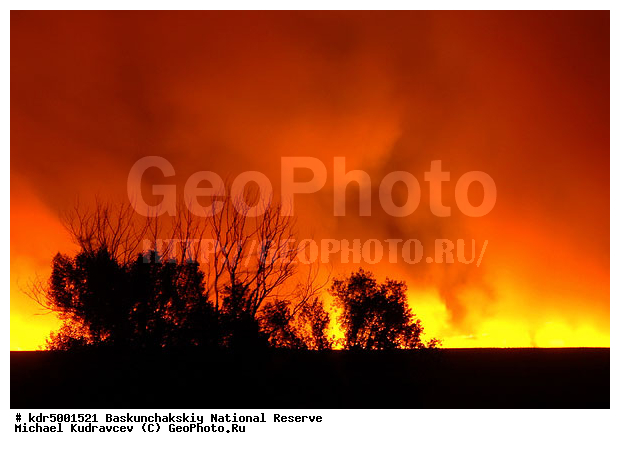 ������������, ���������, ������ 2008, ����������, ������ ��������, �������, ������� �����, �����, �� ������