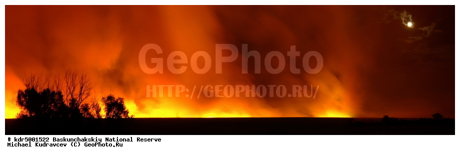 ������������, ���������, ������ 2008, ����������, ������ ��������, �������, ������� �����, �����, �� ������