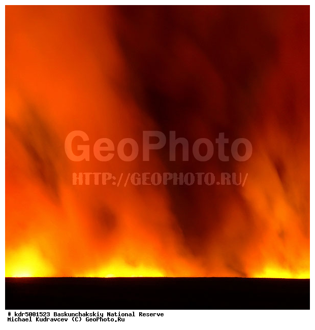 ������������, ���������, ������ 2008, ������, ����������, ������, ������ ��������, �����, �����, �������, ������� �����, �����, �� ������