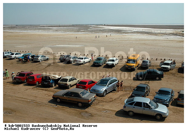 ������������, ���������, ������ 2008, ����������, ������ ��������, �������, ������� �����, �����, �� ������