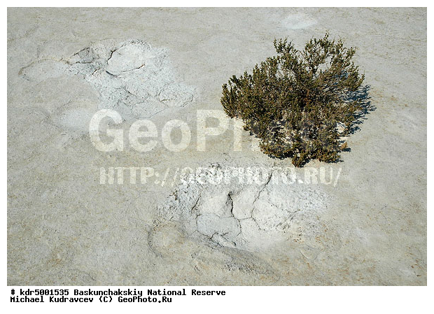 ������������, ���������, ������ 2008, ����������, ������ ��������, �������, ������� �����, �����, �� ������