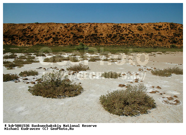 ������������, ���������, ������ 2008, ����������, ������ ��������, �������, ������� �����, �����, �� ������