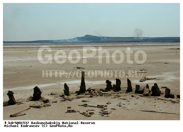 ������������, ���������, ������ 2008, ����������, ������ ��������, �������, ������� �����, �����, �� ������