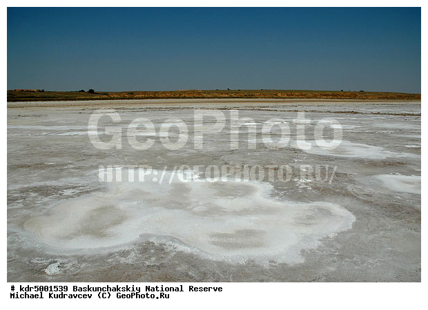 ������������, ���������, ������ 2008, ����������, ������ ��������, �������, ������� �����, �����, �� ������