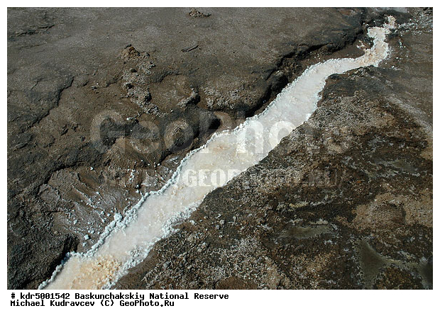 ������������, ���������, ������ 2008, ����������, ������ ��������, �������, �����, �� ������