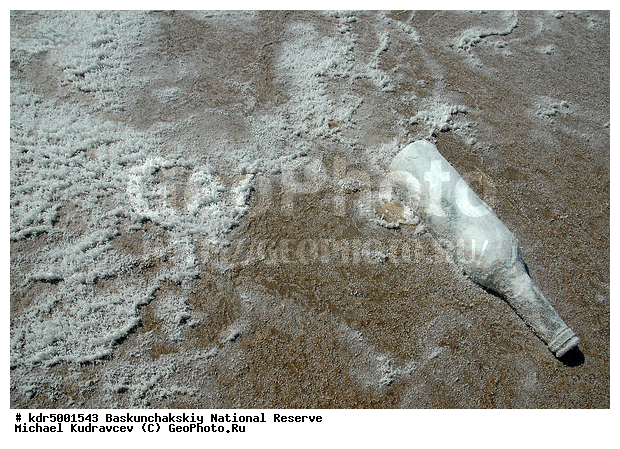 ������������, ���������, ������ 2008, ����������, ������ ��������, �������, ������� �����, �����, �� ������