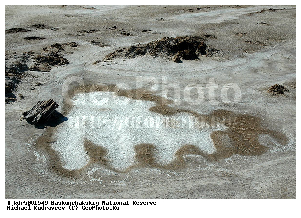 ������������, ���������, ������ 2008, ����������, ������ ��������, �������, ������� �����, �����, �� ������