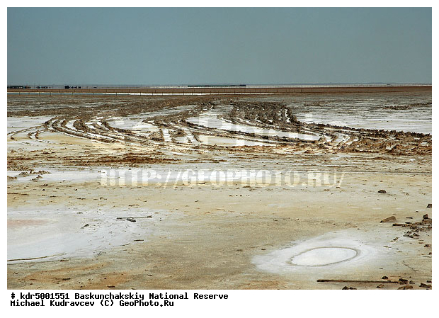 ������������, ���������, ������ 2008, ����������, ������ ��������, �������, ������� �����, �����, �� ������