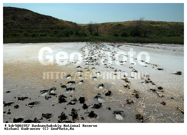 ������������, ���������, ������ 2008, ����������, ������ ��������, �������, ������� �����, �����, �� ������