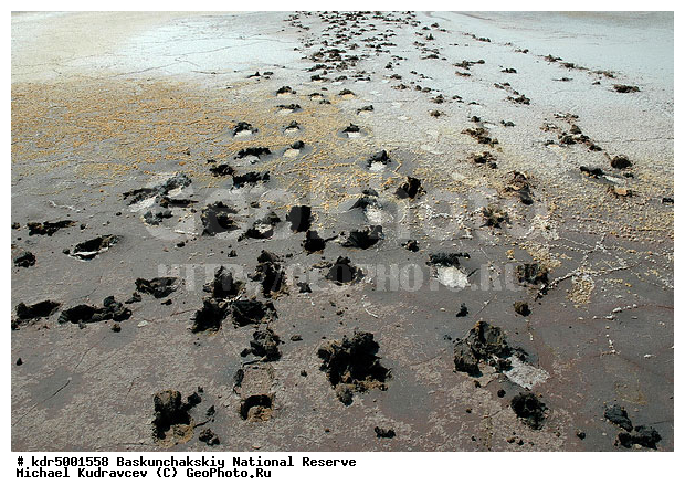 ������������, ���������, ������ 2008, ����������, ������ ��������, �������, ������� �����, �����, �� ������