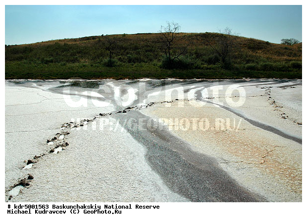 ������������, ���������, ������ 2008, ����������, ������ ��������, �������, ������� �����, �����, �� ������