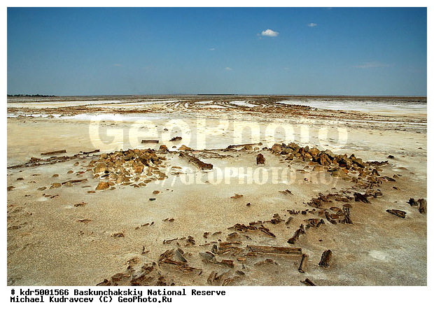 ������������, ���������, ������ 2008, ����������, ������ ��������, �������, ������� �����, �����, �� ������