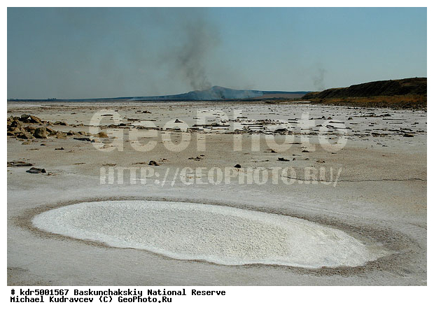 ������������, ���������, ������ 2008, ����������, ������ ��������, �������, ������� �����, �����, �� ������