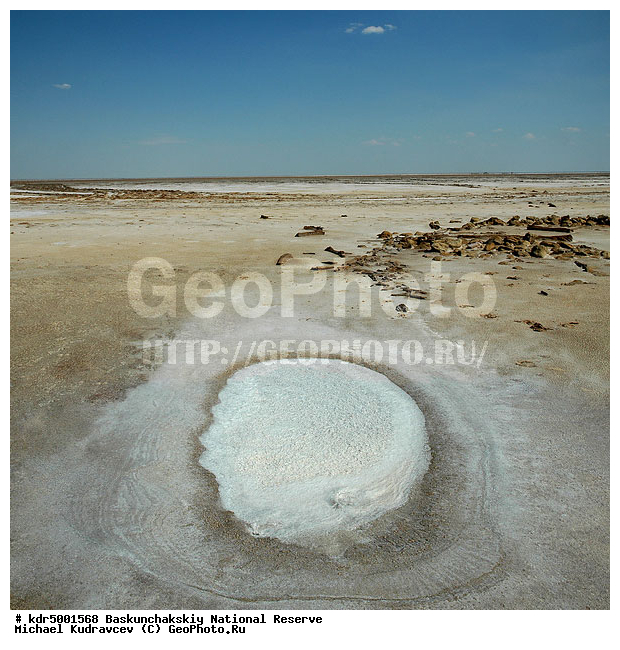 ������������, ���������, ������ 2008, ����������, ������ ��������, �������, ������� �����, �����, �� ������