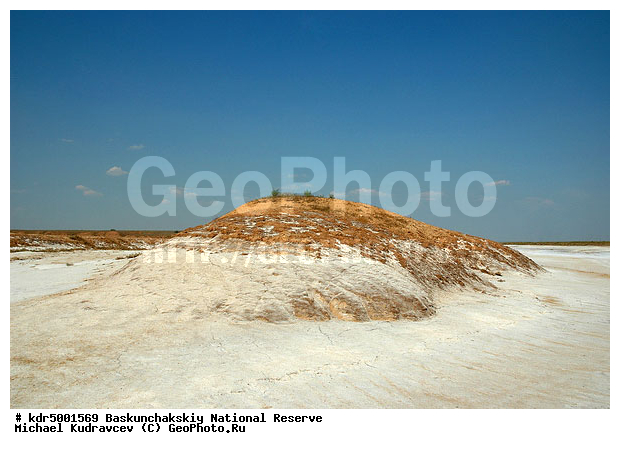 ������������, ���������, ������ 2008, ����������, ������ ��������, �������, ������� �����, �����, �� ������