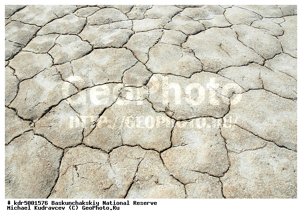 ������������, ���������, ������ 2008, ������������ �������, �����, ����, ����������, ������, �����, ������� �����, ������ ��������, �����, ���������, ���������������, �������, ��������, ����, �������, �����, �����, �������, �������, �������, �� ������