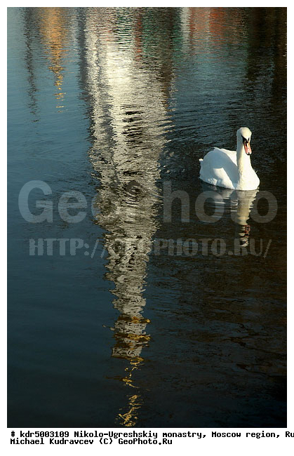 ���������� �������, ������-��������� ���������, ���������