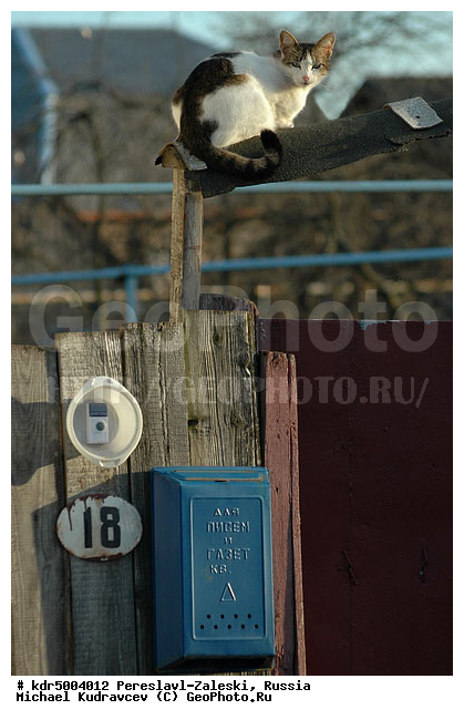 ������� ������, ����������-���������, ��������, �����, ���, �����