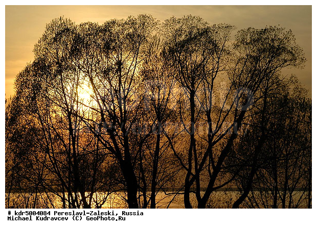 ������� ������, ����������-���������, ��������, �����, ���, �����, �������, ������������ ���� �������� �����