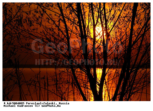 ������� ������, ����������-���������, ��������, �����, ���, �����, �������, ������������ ���� �������� �����