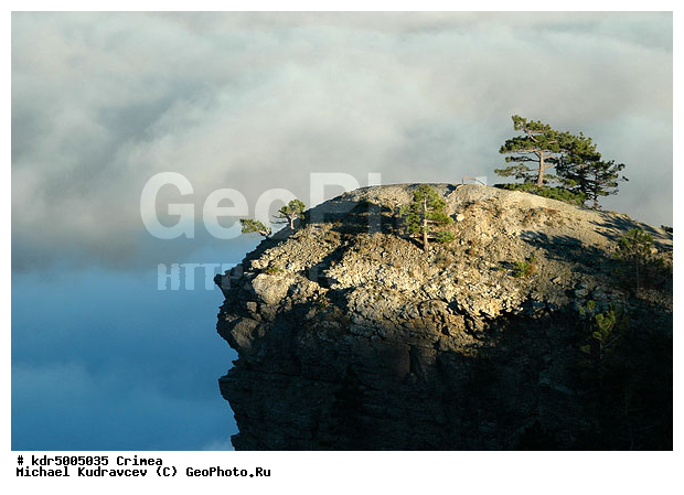 ����, �����, ������ ����, ����, ������, �����, �������� ����, ����, ������, ������, �����, �����, ������, �����, �����, ����, ����, �������, ����