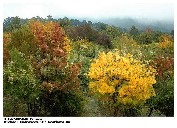 ����, ������ ����, ����, ������, �������, ������, �������, ������� �����, �����, �������� ����, ���, ������, ������, ������, �������, �����, ������, �����, �������