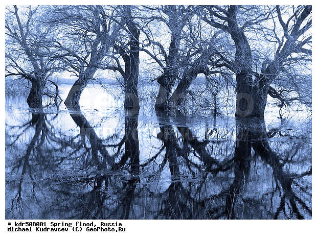 ������, ������������, ������������ �������, ���, ��������, �����, ����, ������, �������, ���, ����������, ���������, ������, ���������, ������, ����, �����, �����