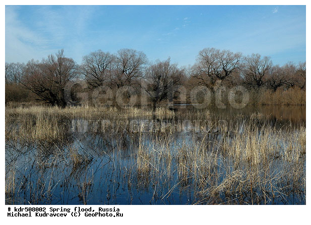 ������, ������������, ������������ �������, ��������, �����, ����, ����, �����, ���, ������, ���������, ������, ����, �����, �����