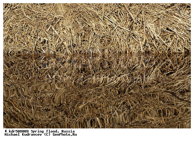 ������, ������������, ������������ �������, ��������, �����, ����, �������, �����������, ���������, ����������, ���������, ���������, ������, ����, ����, ����, �����