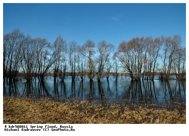 ������, ������������, ������������ �������, �����, ��������, �����, ����, ������, �������, �����������, ���������, ���, ����������, ���������, ������, ���������, ������, ����, �����