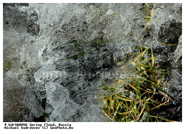 ������-����, �����, �����, ����, ����������, ���������� ���, ���, ���������, ����, ����, �����, ��������, ����