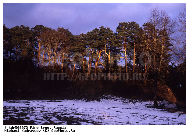 �����, �����, ������, �����, ���������, �����, �����, �����