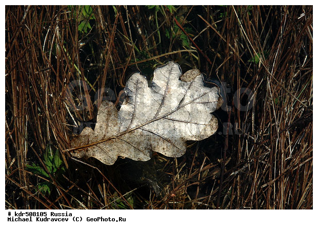 ���, ����, ��������, ���, �������, ������� ����, ����, ������, ����, �������, �������, �����, �����, ��������