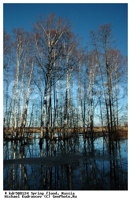 ������������, �������, ��������, �����, ������, �������, �����������, ���������, ���, ����, ������, ���������, ������, ����, ������