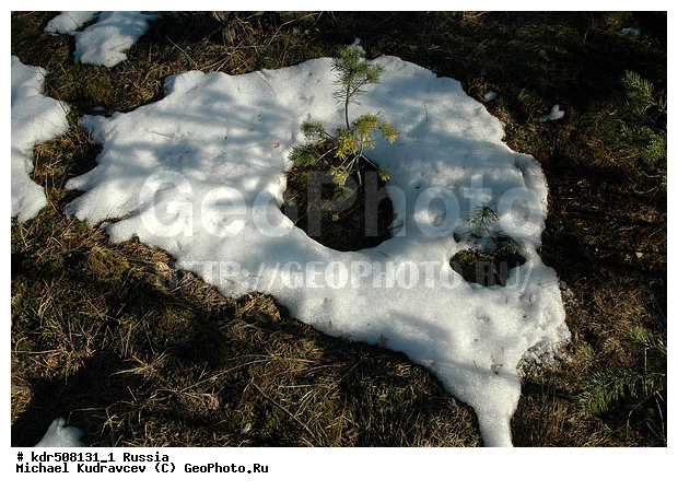 ���, �����, ������, ������, �����, ���������, ��������, ����, ������, �����, ��������