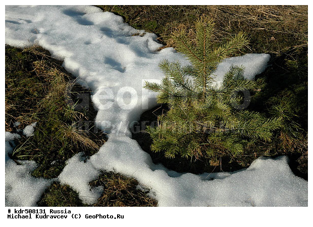 ���, �����, ������, ������, ���������, ��������, ����, ������, �����, ��������