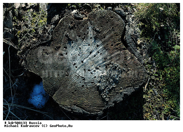 ������, ���, �����, ����, ��������, ����, �������, ���, ��������