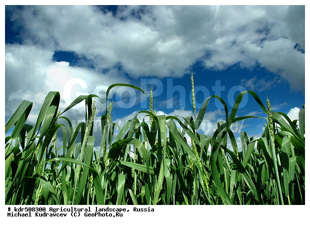 �������, ��������, ��������, ����, ������, ����, ������, �������� ���������, �������������������� ������, �������, ������� ��������, �������������, ��, ����, ������, ������