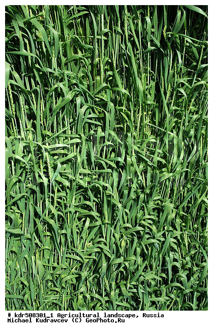 �������, ��������, ��������, ������, ��������, ����, �������� ���������, �������������������� ������, �������, ������� ��������, �������������, ���������, ��, �������, ������, �������, ���, ������