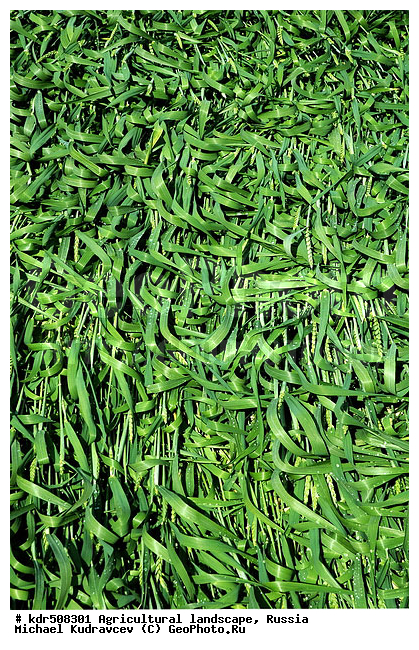 �������, ��������, ��������, ������, ��������, ����, �������� ���������, �������������������� ������, �������, ������� ��������, �������������, ���������, ��, �������, ������, �������, ���, ������