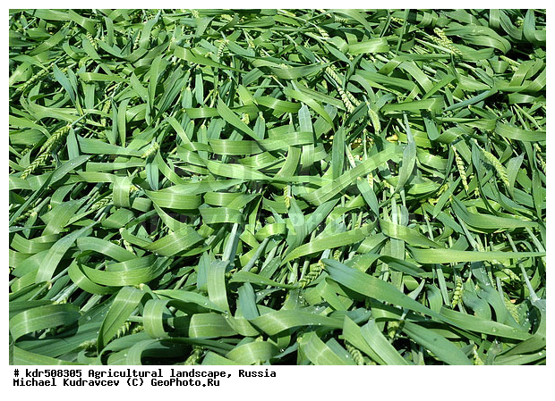 �������, ��������, ��������, ������, ��������, ����, �������� ���������, �������������������� ������, �������, ������� ��������, �������������, ���������, ��, �������, ������, �������, ���, ������