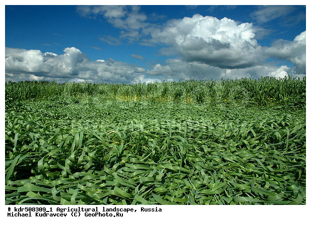 �������, ��������, ��������, ����, ������, ����, �������� ���������, �������������������� ������, �������, ������� ��������, �������������, ��, ����, ������, ������