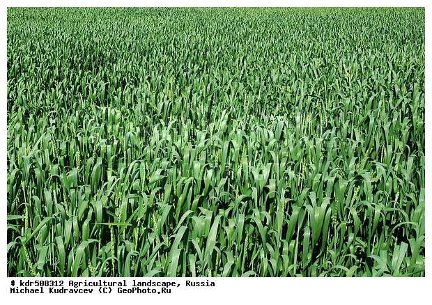 �������, ��������, ��������, ������, ��������, ����, �������� ���������, �������������������� ������, �������, ������� ��������, �������������, ���������, ��, �������, ������, �������, ���, ������