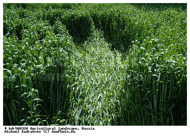 �������, �������, ��������, ��������, ����, ����, �������� ���������, �������������������� ������, �������, ������� ��������, �������������, ��, ������, ������